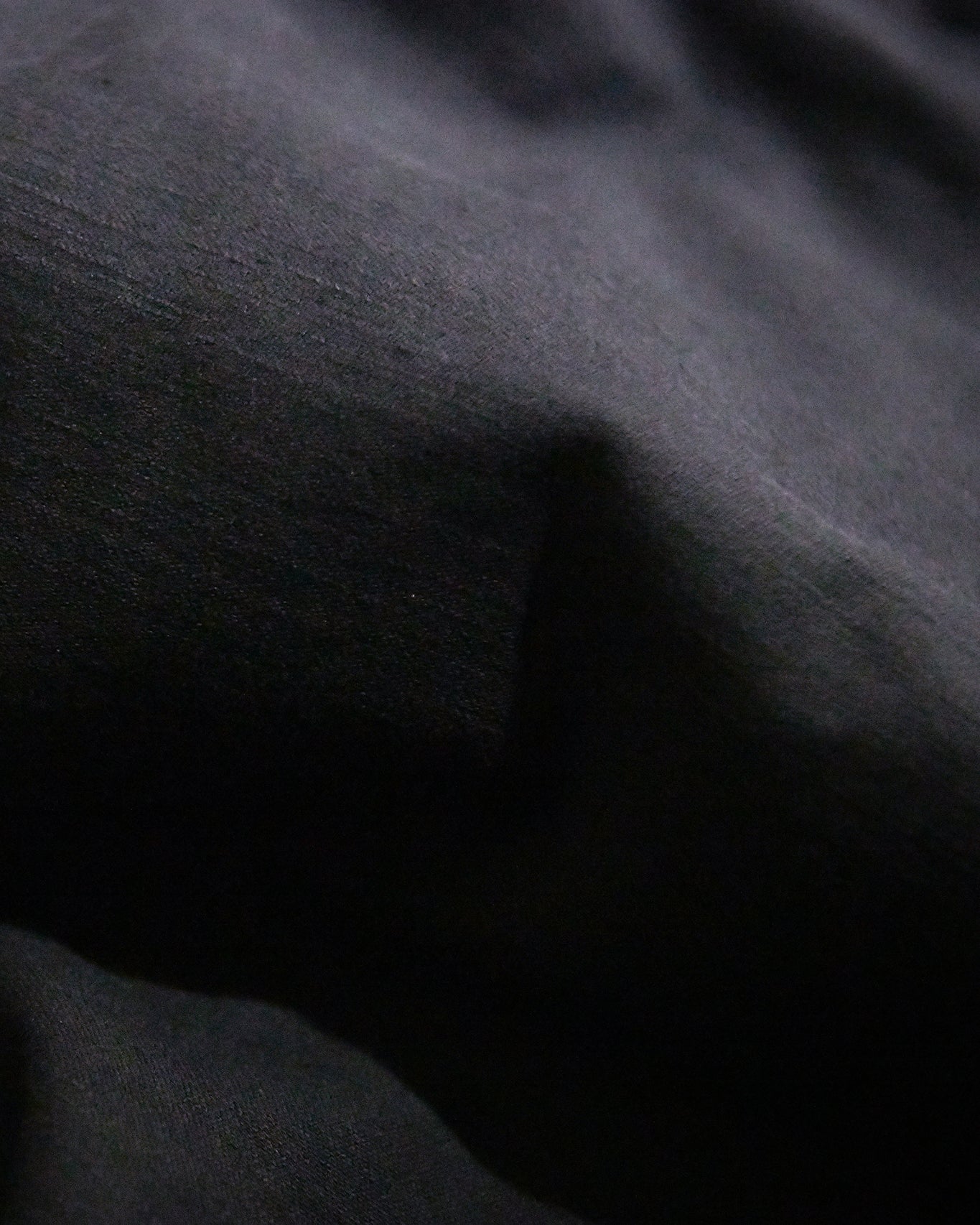 PLEATED CARGO TROUSERS / BLACKBERRY